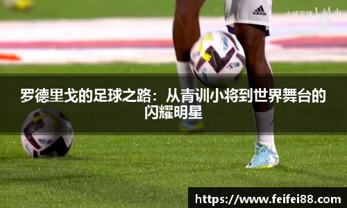 富邦平台注册